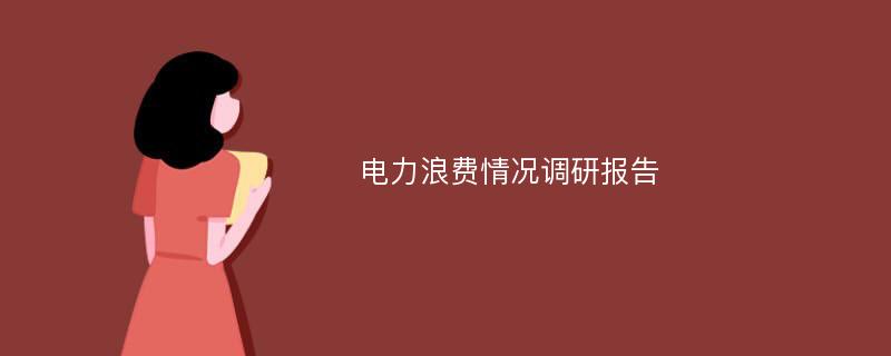 电力浪费情况调研报告