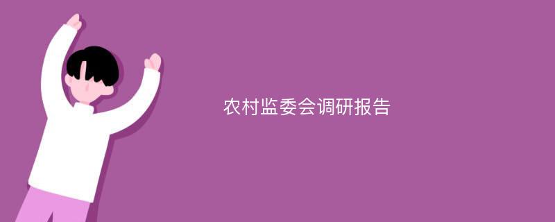 农村监委会调研报告