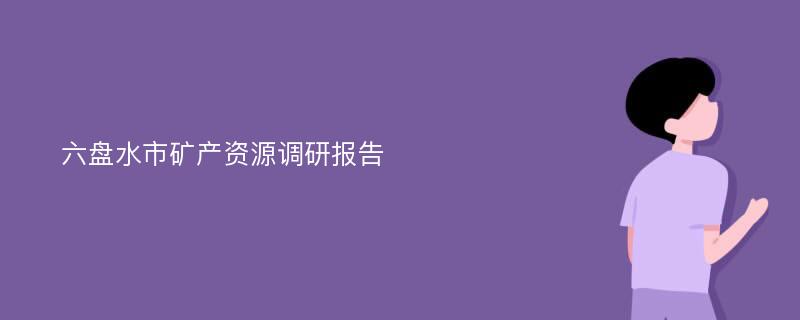 六盘水市矿产资源调研报告