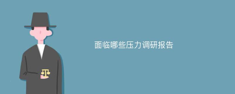 面临哪些压力调研报告