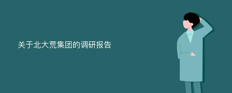 关于北大荒集团的调研报告