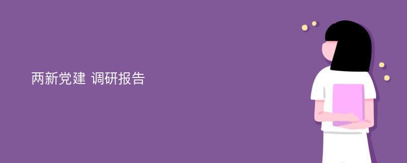 两新党建 调研报告