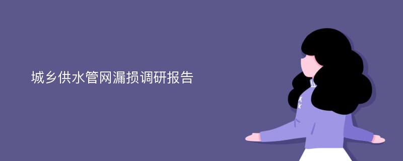 城乡供水管网漏损调研报告